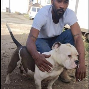 Meet your Posher, Shane